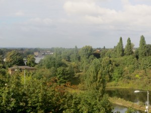 View from the roof towards Thames Ditton