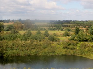Over the filter beds towards Home Park