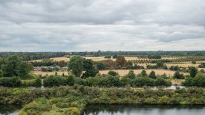 Over the filter beds towards Home Park